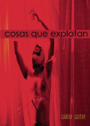 COSAS QUE EXPLOTAN 9788418804212