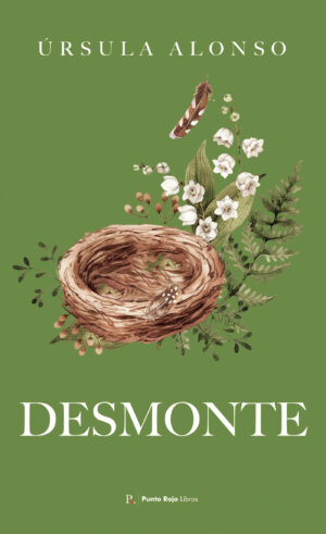 DESMONTE 9788419429032