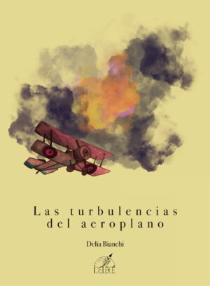 LAS TURBULENCIAS DEL AEROPLANO 9788419486653