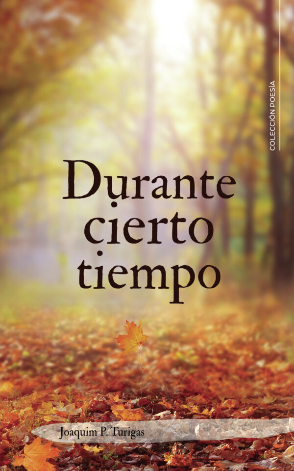 DURANTE CIERTO TIEMPO 9788419653253