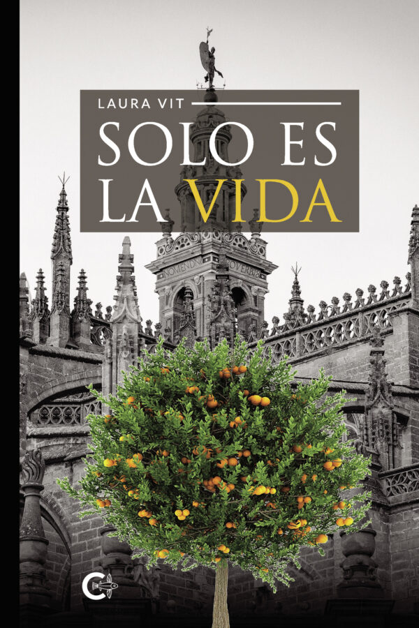 SOLO ES LA VIDA 9788419808165