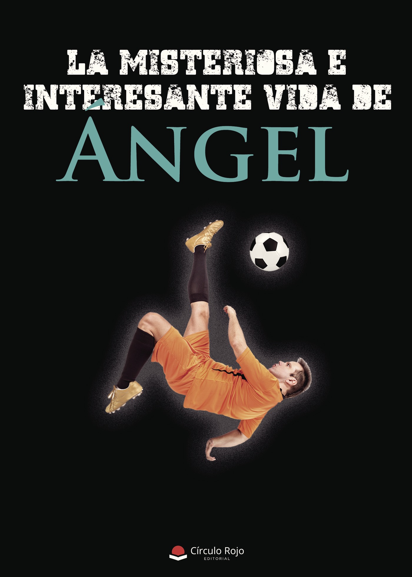 LA MISTERIOSA E INTERESANTE VIDA DE ÁNGEL