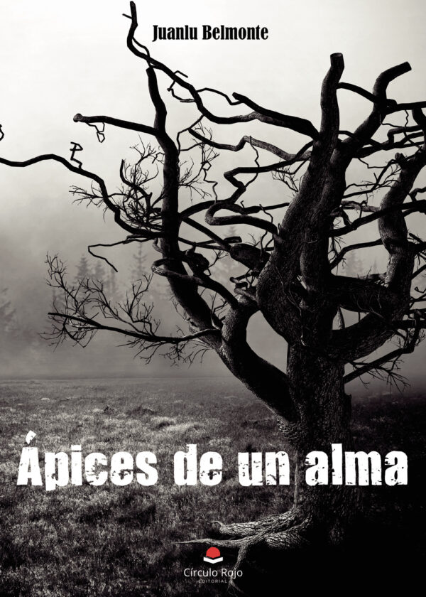 ÁPICES DE UN ALMA 9788491602064