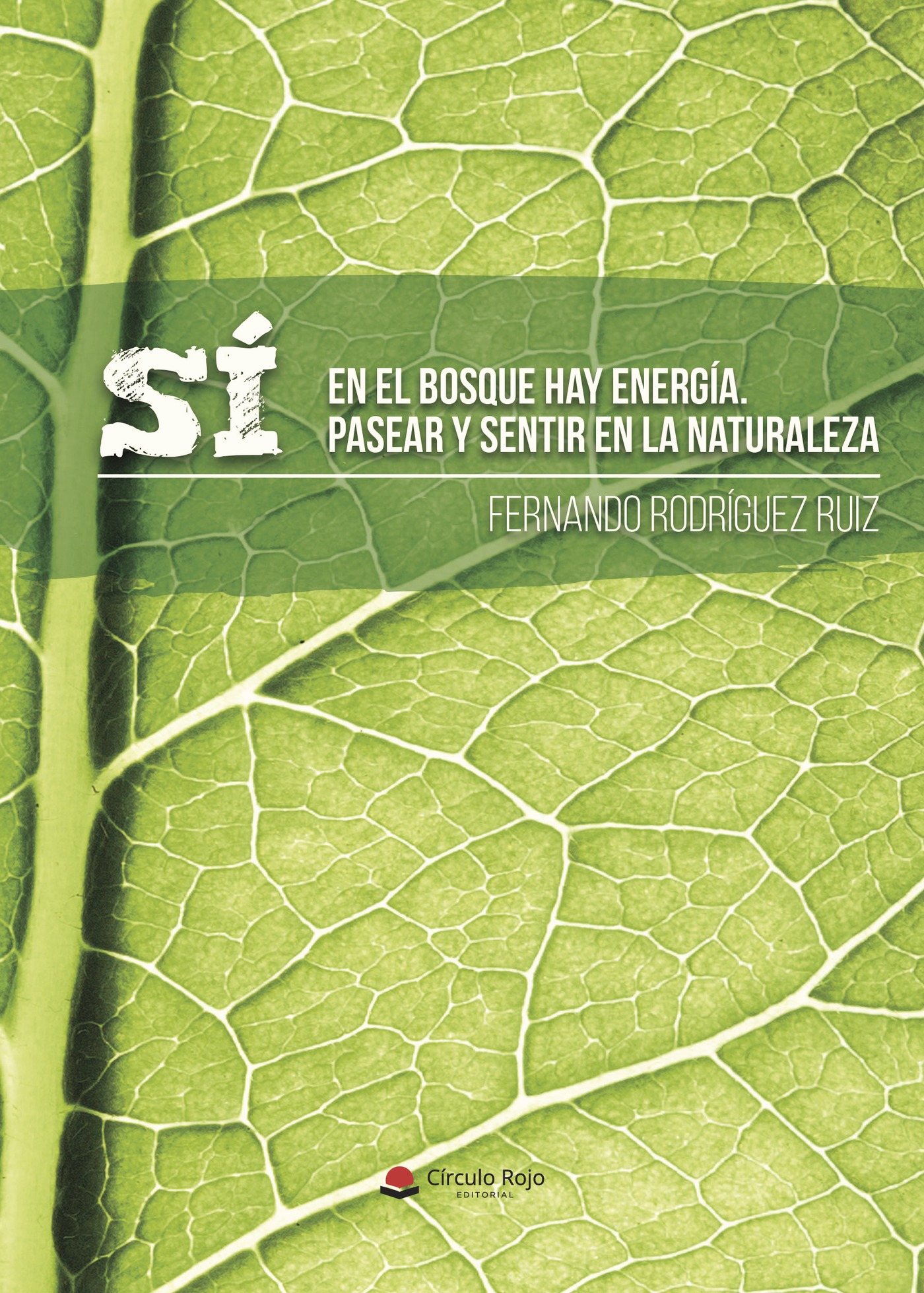 SÍ, EN EL BOSQUE HAY ENERGÍA. PASEAR Y SENTIR EN LA NATURALEZA