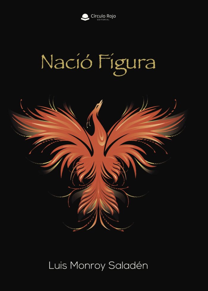NACIÓ FIGURA