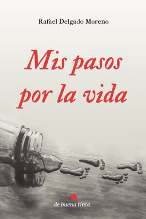 MIS PASOS POR LA VIDA