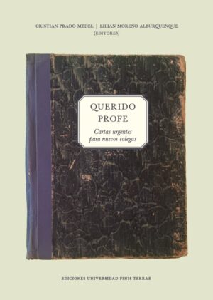 QUERIDO PROFE