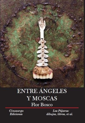 ENTRE ÁNGELES Y MOSCAS