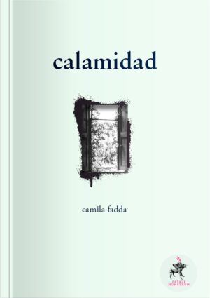 CALAMIDAD 9789569594670
