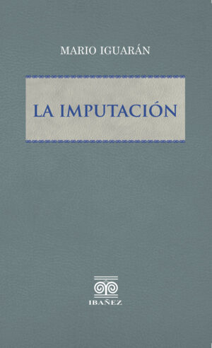 LA IMPUTACIÓN 9789585020313