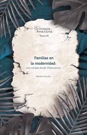 FAMILIAS EN LA MODERNIDAD: UNA MIRADA DESDE VILLAVICENCIO