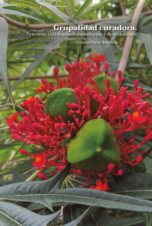 GRUPALIDAD CURADORA
