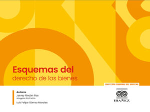 ESQUEMAS DEL DERECHO DE BIENES 9789587919318