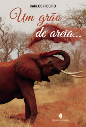 UM GR√ÕÉO DE AREIA