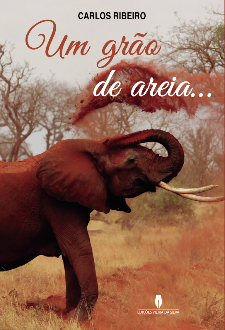 UM GR√ÕÉO DE AREIA
