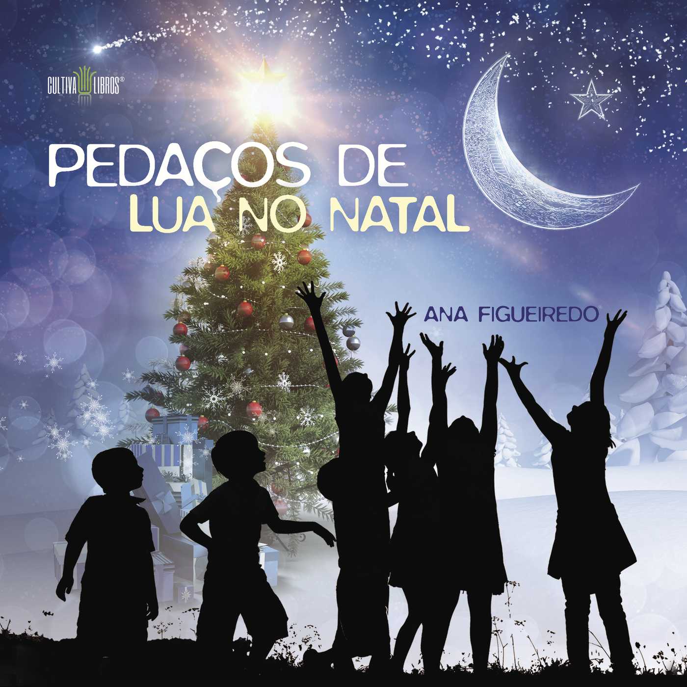 PEDA√Õ√ßOS DE LUA NO NATAL