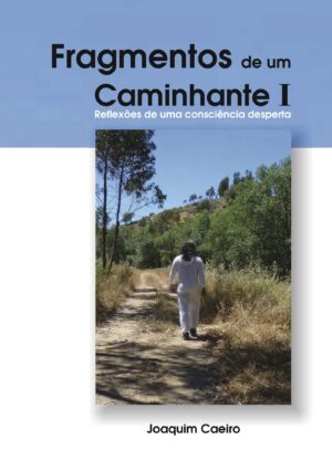 FRAGMENTOS DE UM CAMINHANTE I 9789899961531