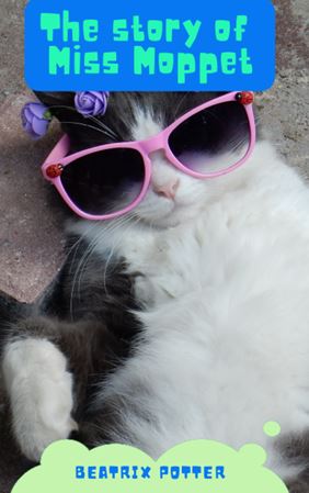 THE STORY OF MISS MOPPET