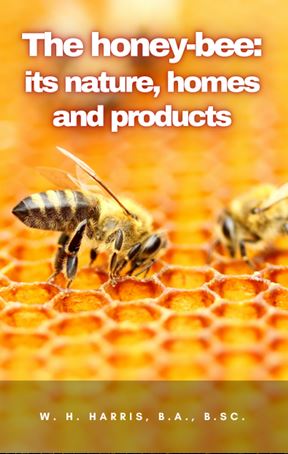 THE HONEY-BEE