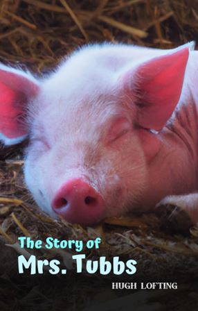 THE STORY OF MRS. TUBBS