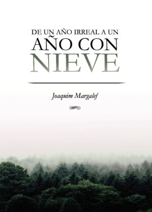 DE UN AÑO IRREAL O UN AÑO CON NIEVE 9798850469238