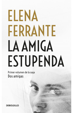 LA AMIGA ESTUPENDA (DOS AMIGAS 1) 9789585579392