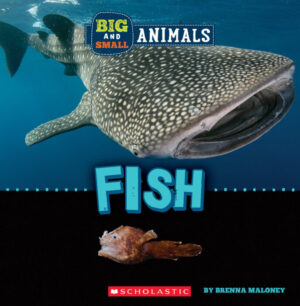 BIG AND SMALL FISH