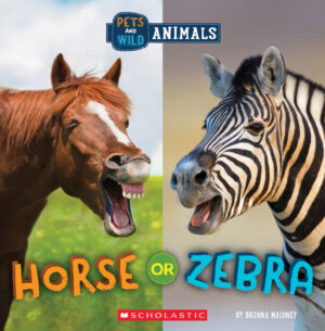 HORSE OR ZEBRA