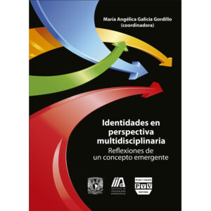IDENTIDADES PERSPECTIVA MULTIDISCIPLINARIA