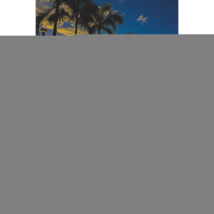 APUNTES DESDE LA LEJANIA