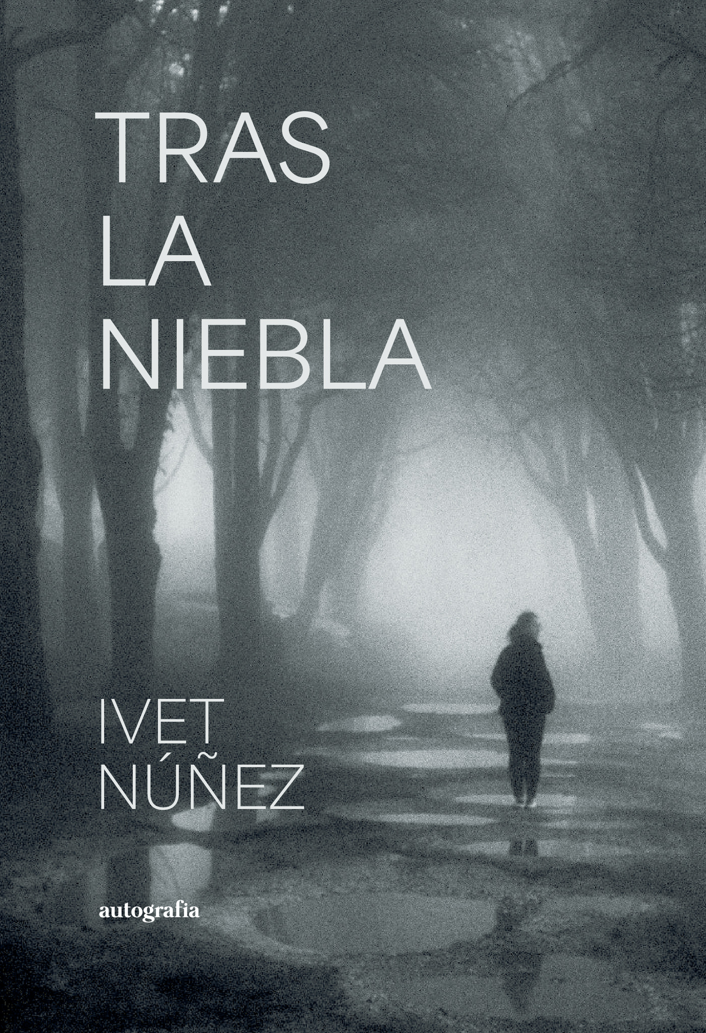 TRAS LA NIEBLA