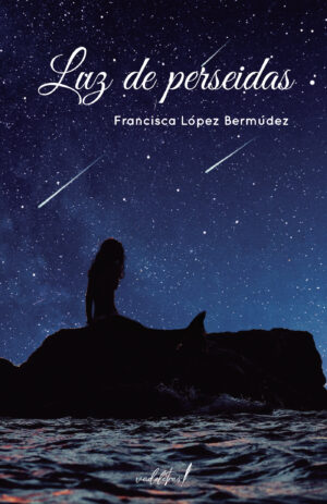 LUZ DE PERSEIDAS