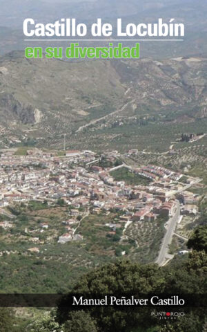 CASTILLO DE LOCUBÍN
