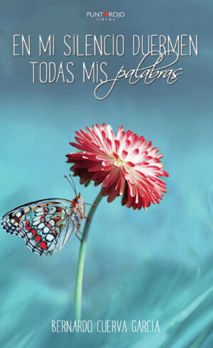 EN MI SILENCIO DUERMEN TODAS MIS PALABRAS