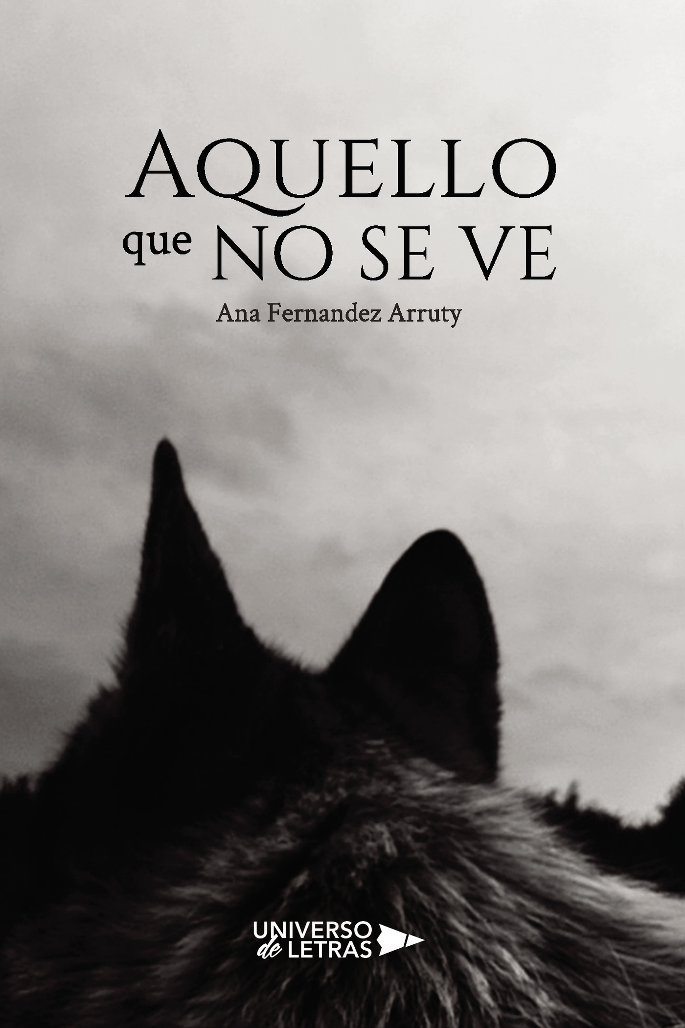 AQUELLO QUE NO SE VE