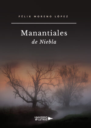 MANANTIALES DE NIEBLA