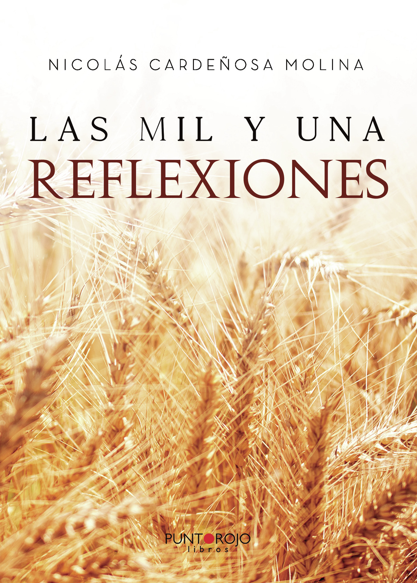 LAS MIL Y UNA REFLEXIONES