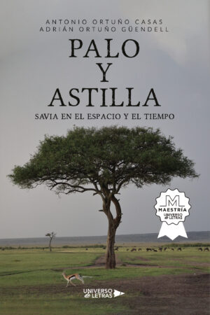 PALO Y ASTILLA