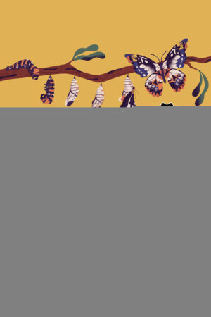 UNA SEGUNDA OPORTUNIDAD