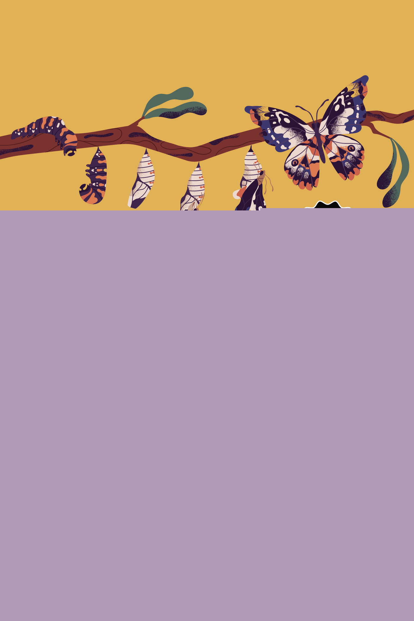 UNA SEGUNDA OPORTUNIDAD