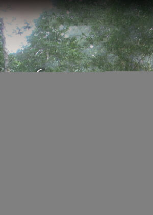 UN CAMINO HACIA EL APÓSTOL