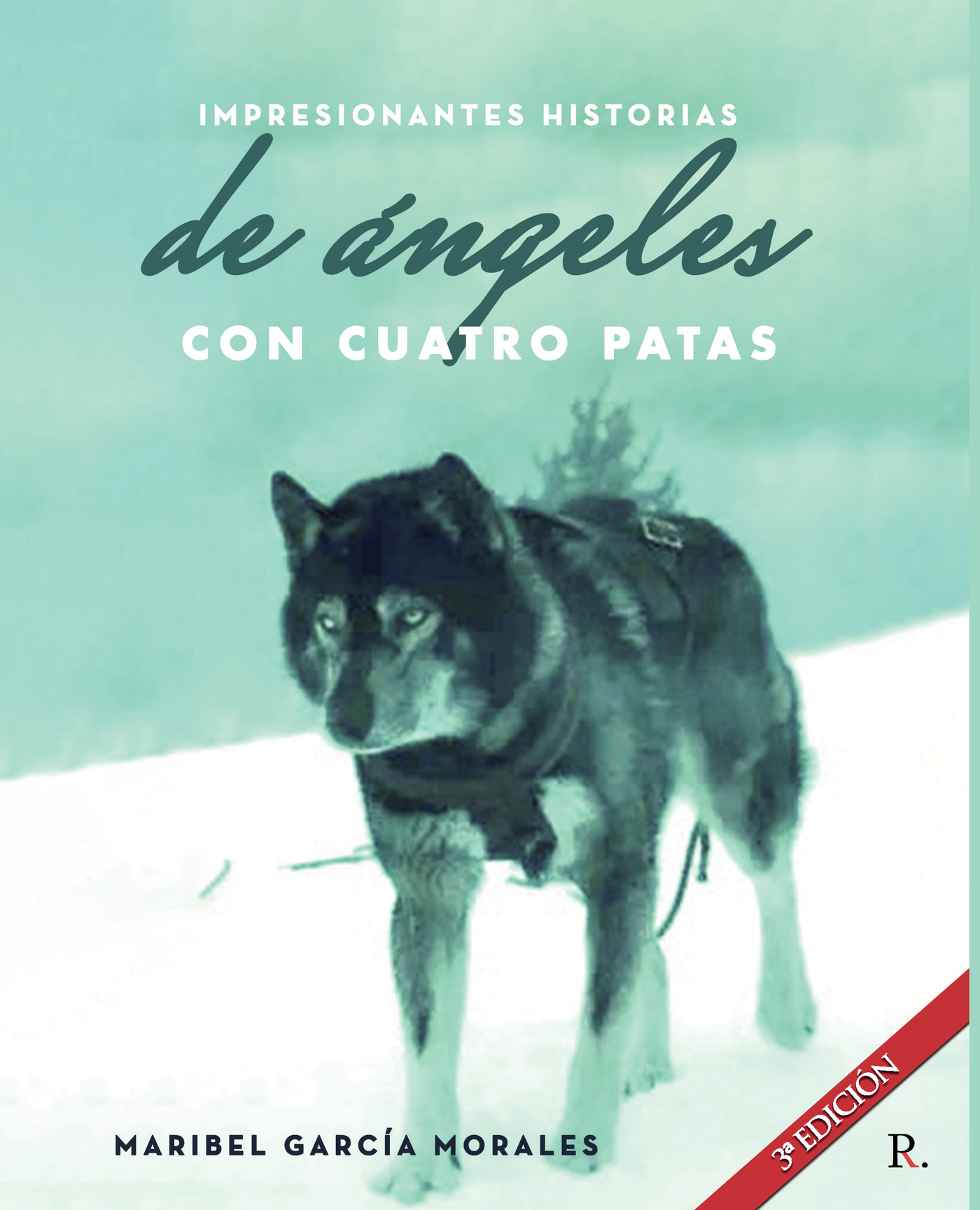 IMPRESIONANTES HISTORIAS REALES DE ÁNGELES CON CUATRO PATAS