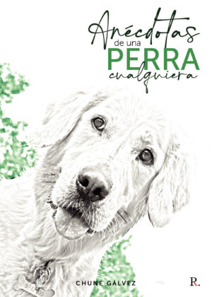 ANÉCDOTAS DE UNA PERRA CUALQUIERA