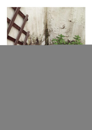 DOCE RELATOS PARA DOCE DÍAS CONSECUTIVOS