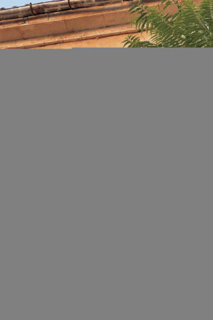 LA MANSIÓN ATEMPORAL