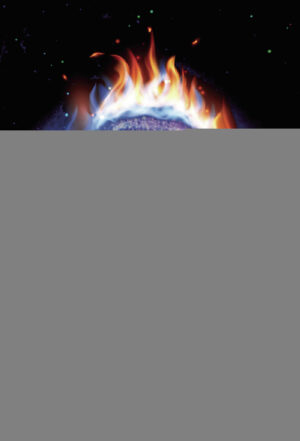 PASIONES PROHIBIDAS. MIS 9 YO