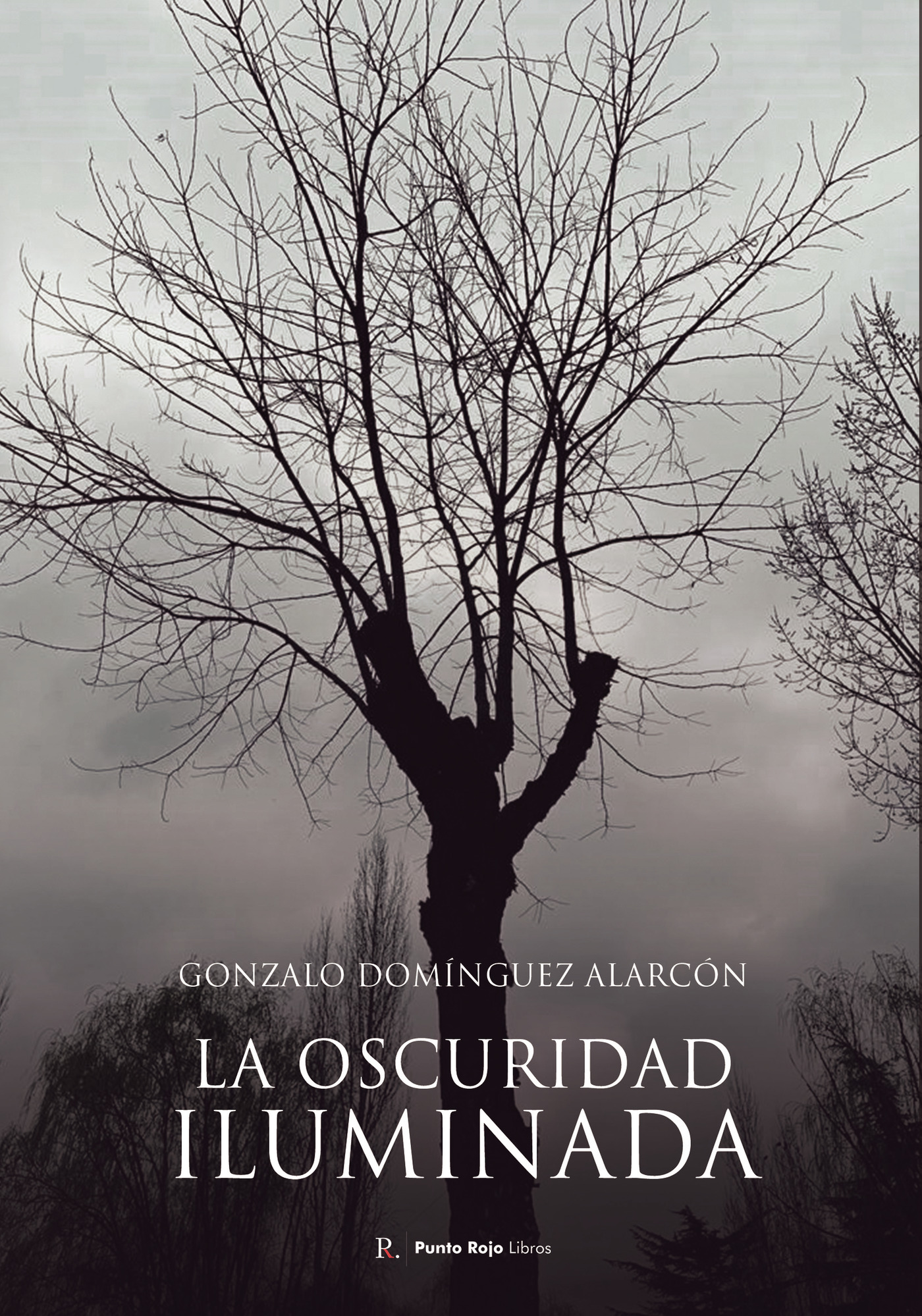 LA OSCURIDAD ILUMINADA