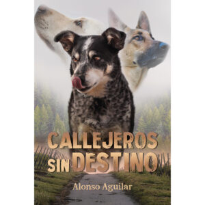 CALLEJEROS SIN DESTINO
