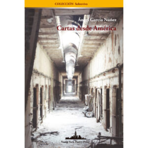 CARTAS DESDE AMÉRICA