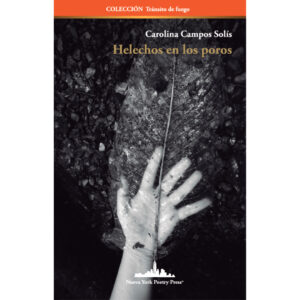 HELECHOS EN LOS POROS